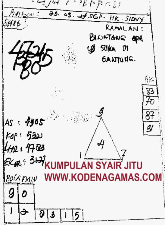 SYAIR SDY VIP